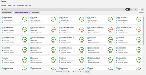 Data Integrity Suite_Data Governance screen shot