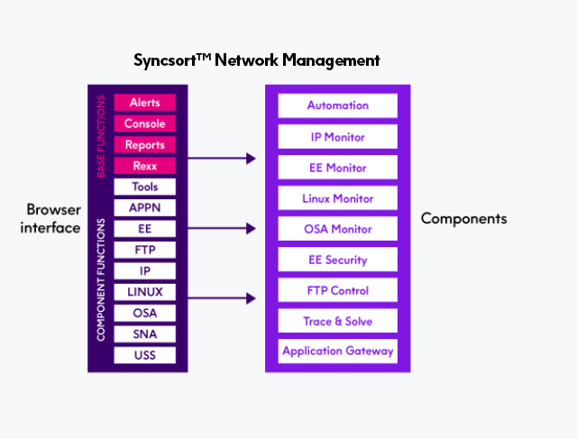 Syncsort Network Management_graphic