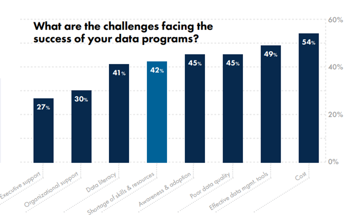 What are the challenges facing the success of your data programs? LeBow Report 2024